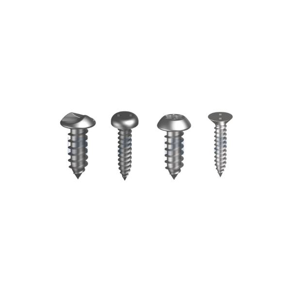 Security Screw